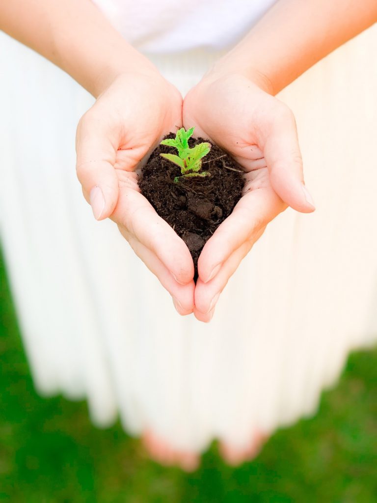 Comment vivre de manière plus écologique quotidiennement ? Comment vivre de manière plus écologique quotidiennement ?